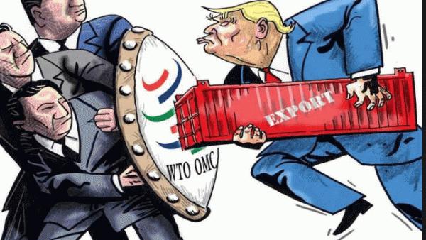 伊拉克全国哀悼3天,伊拉克全国哀悼3天新郎新娘 伊拉克全国哀悼3天,伊拉克全国哀悼3天新郎新娘