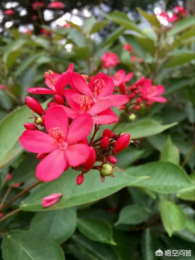 女子骂吸烟领导被辞  ,郭德纲相声里骂了声抽烟喝酒烫头的人是什么节目？