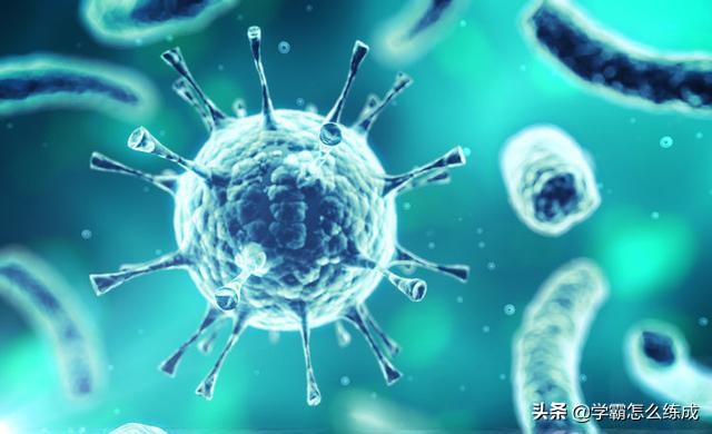 香港公共服务暂停,香港红色暴雨港铁会暂停吗? 香港公共服务暂停,香港红色暴雨港铁会暂停吗?