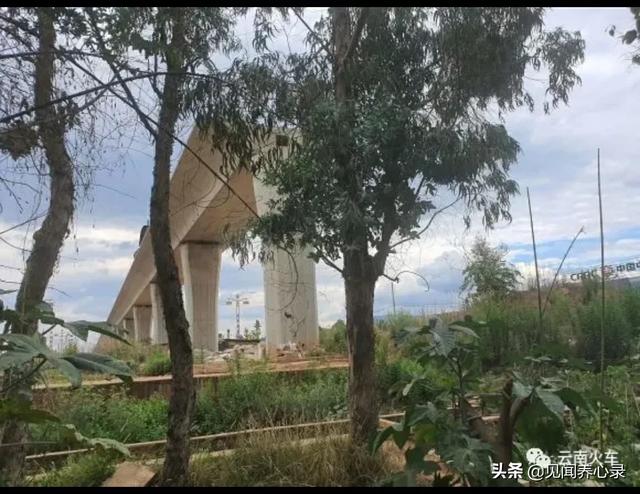 昆明事故致2死9伤,昆明9号线最新官方消息? 昆明事故致2死9伤,昆明9号线最新官方消息?