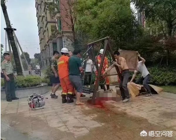 8岁女童被车撞身亡,8岁女孩车祸