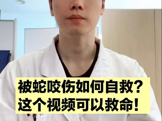 被蛇咬伤网友救命,蛇认出救命恩人的故事?