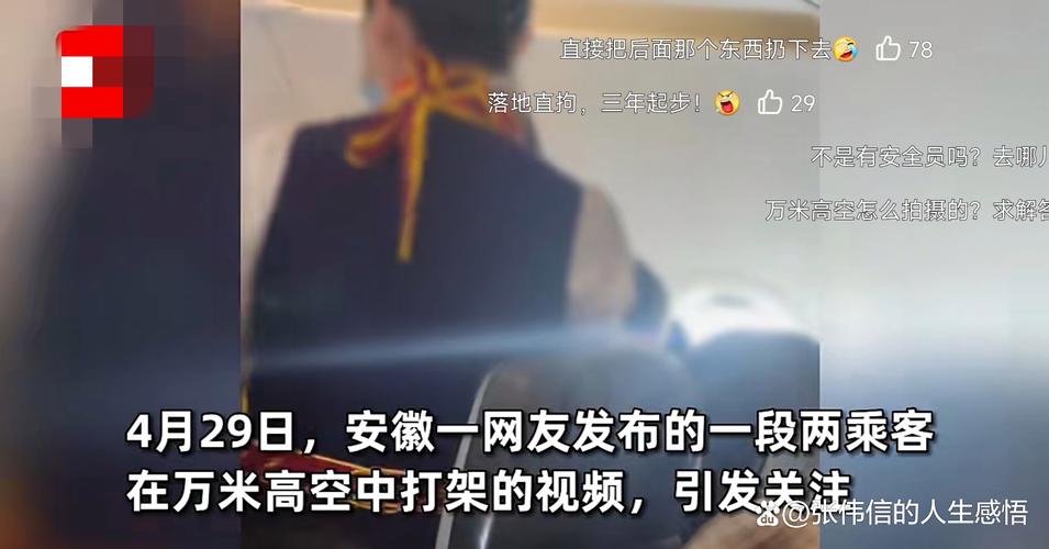 多名乘客在飞机打架,多名乘客在飞机打架怎么处理