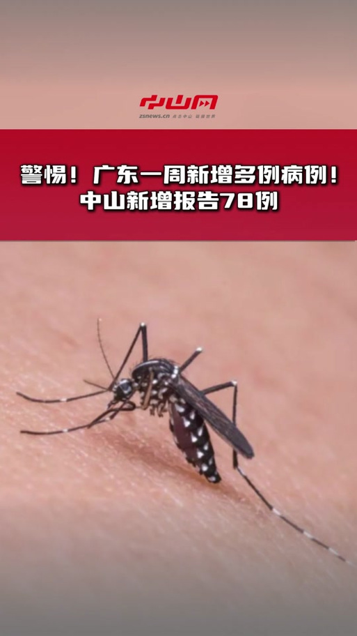 一地登革热疫情上升,一地登革热疫情上升了吗