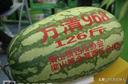 每人每年吃近百斤瓜,每人每年吃近百斤瓜子 每人每年吃近百斤瓜,每人每年吃近百斤瓜子