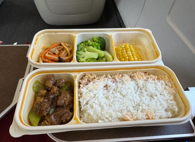 高铁商务座卫生脏乱,形容非常脏乱的成语有哪些?