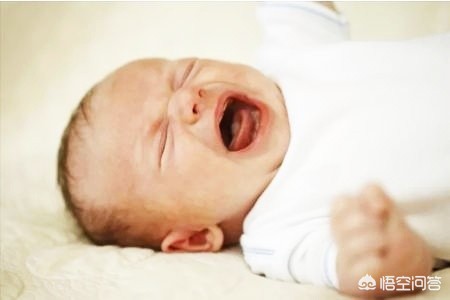 猫猫的叫声也有口音,猫叫声是否有某有意思