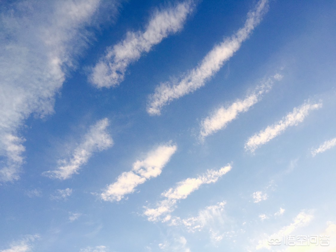 野餐后不带走垃圾,野餐后不带走垃圾怎么办
