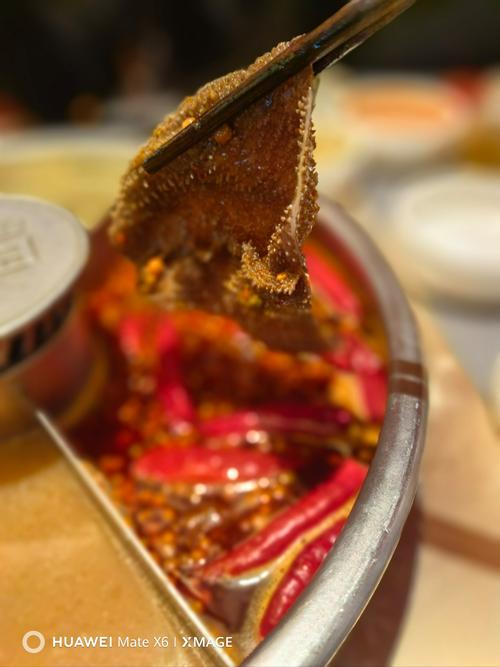 巴奴毛肚78元7片,巴奴毛肚火锅全国有几家?