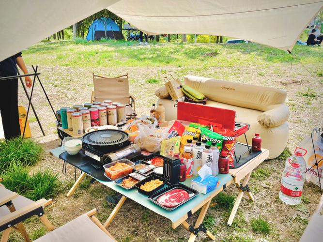 野餐后不带走垃圾,出去野餐每次都会有很多垃圾,我每次都会主动收垃圾但是反被看成异类,怎么办?