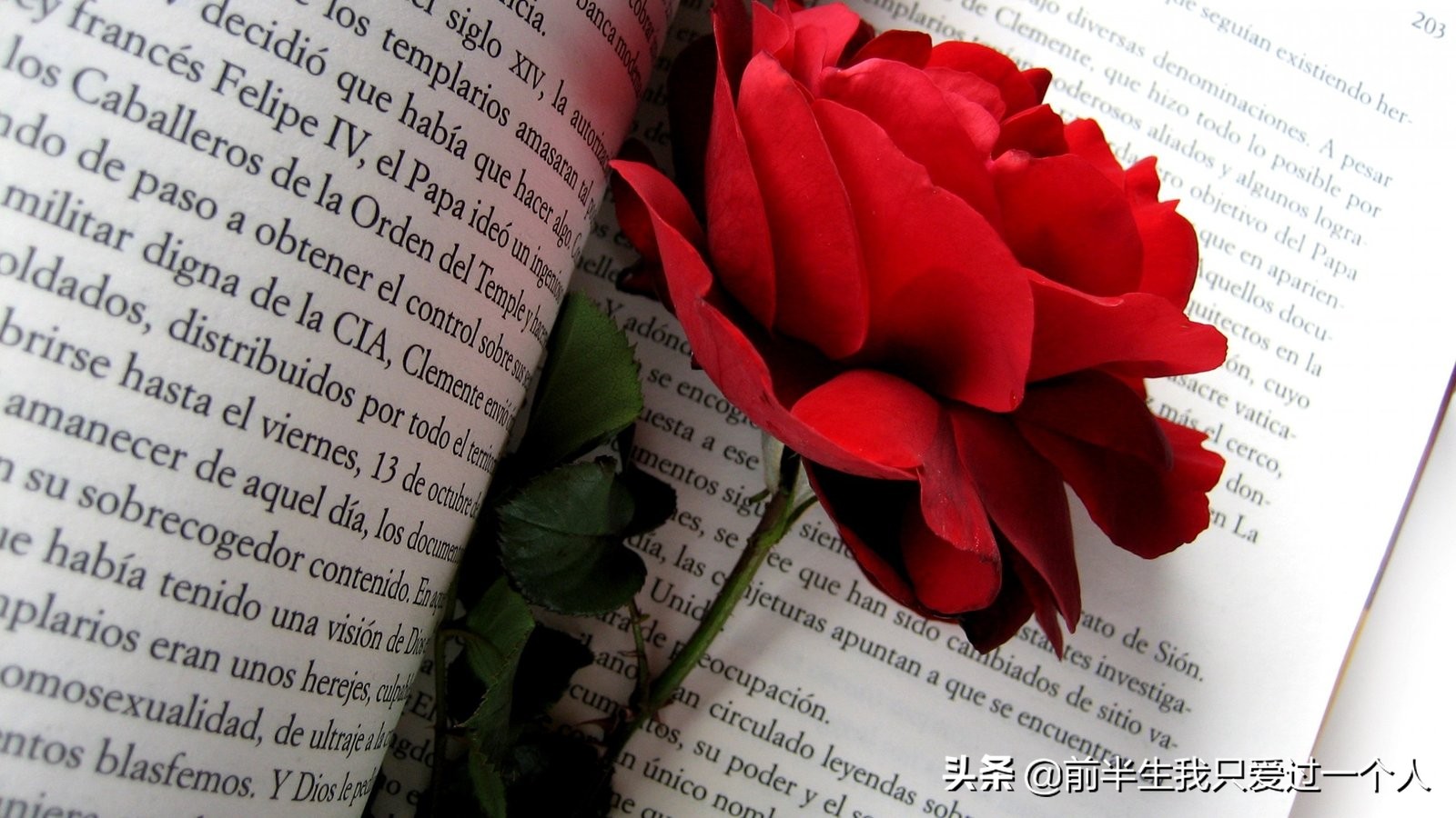 老人自称是天选之子,丁真为什么是天选之子? 老人自称是天选之子,丁真为什么是天选之子?