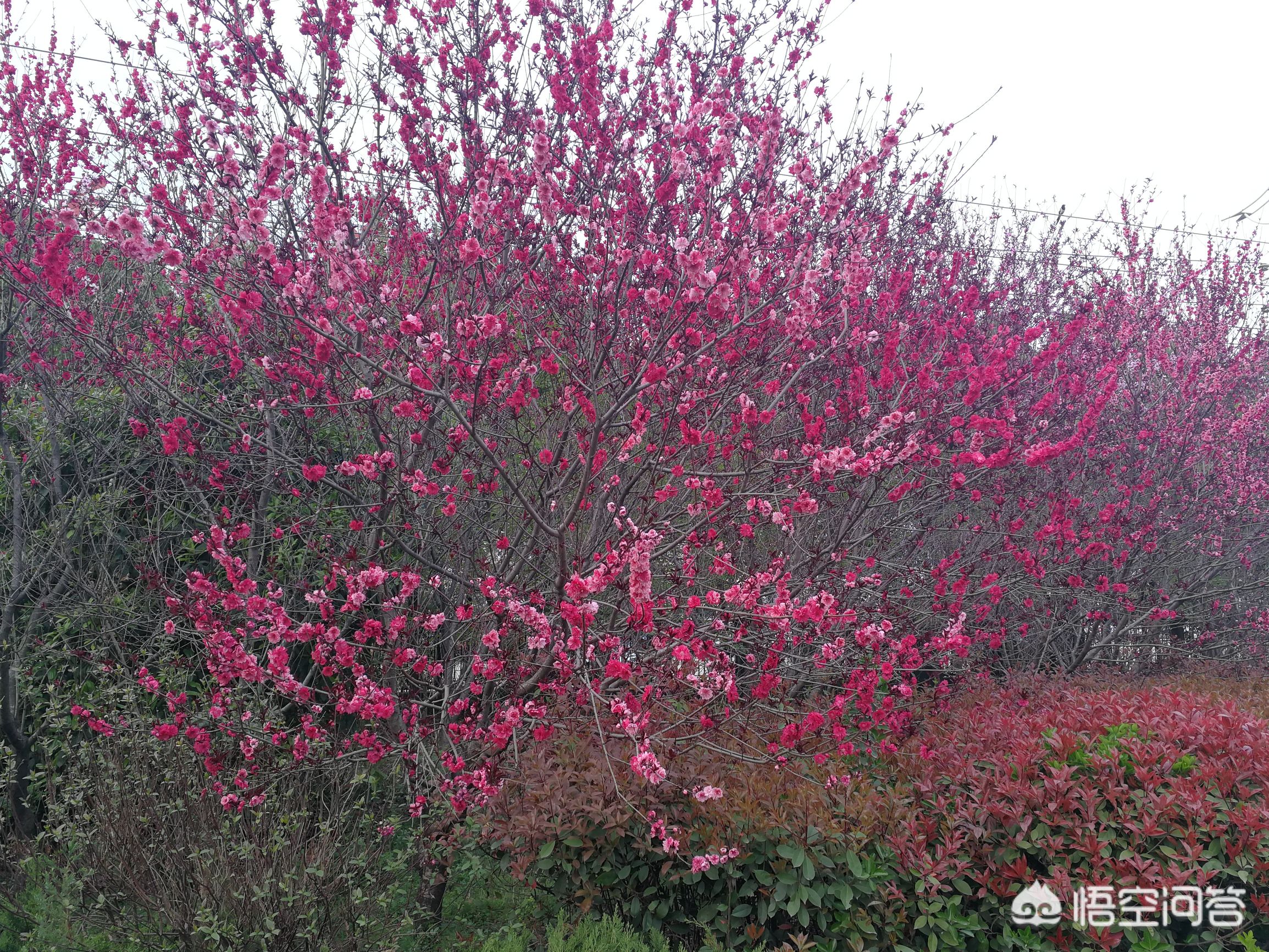 连休8天的长假来了,为什么中秋国庆连休8天? 连休8天的长假来了,为什么中秋国庆连休8天?