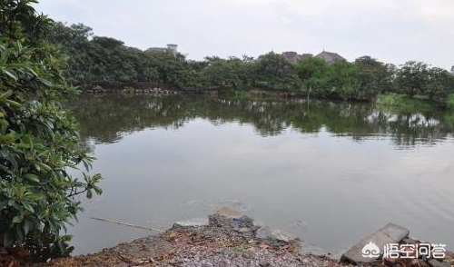 溺亡事故获救老师照,防溺水家访家家过,每个学生打印图片,溺水了,教师有责任吗? 溺亡事故获救老师照,防溺水家访家家过,每个学生打印图片,溺水了,教师有责任吗?