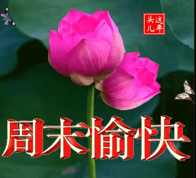 曝周冬雨刘昊然分手,刘昊然周冬雨在一起多久了？