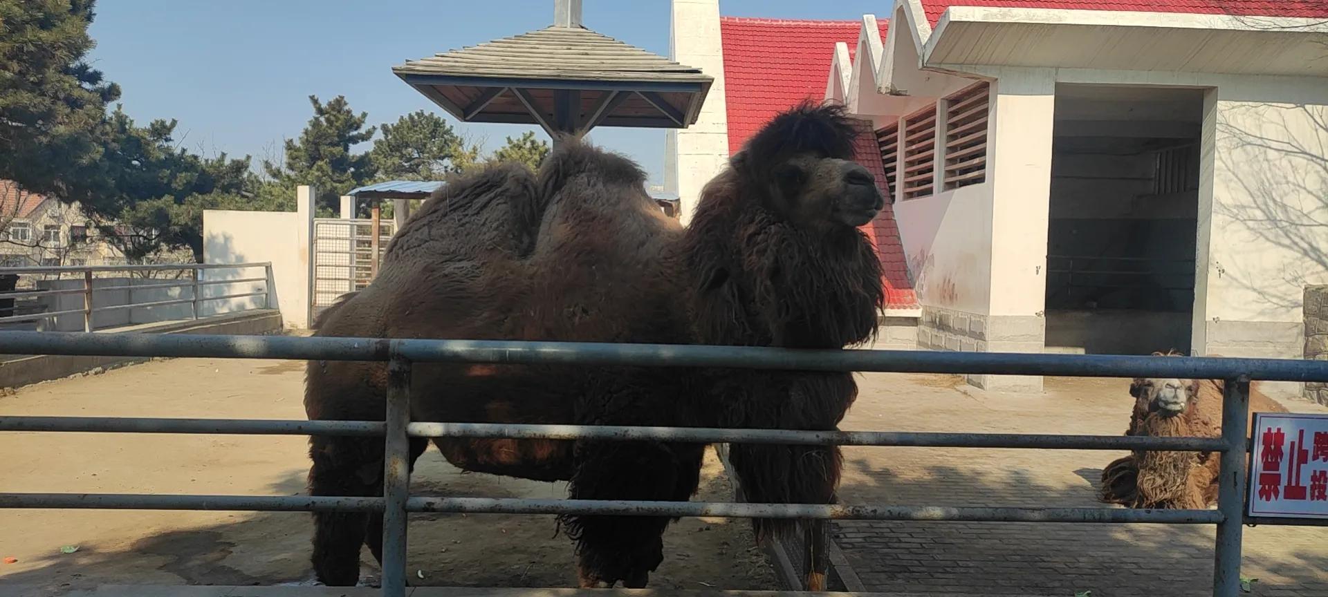 离职背上11万车贷,都说中年男人有房贷车贷还要养小孩，不敢辞职，可以随意压榨他们，你身边有这样人吗？