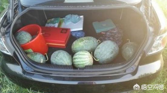 美代表散布中国谎言,平湖警方通报“瓜农万斤西瓜被偷”：3人伙同亲朋偷瓜，散播谎言吸引多人作案，已被拘留，赔偿瓜农1万8，你怎么看？