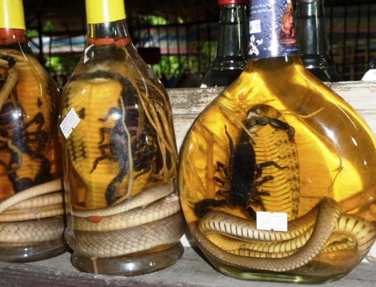 男童咬死眼镜蛇生还,你对眼镜蛇泡酒一个月，开封后复活咬死人，你怎么看？