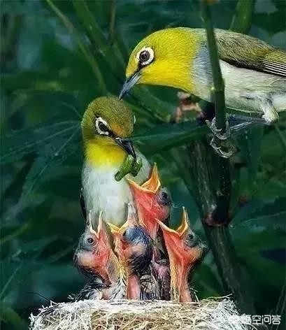 安全部披露间谍套路,在沙特谋杀记者事件中,为什么很多人不去谴责沙特的暴行、追查凶手,反而在等着看美国的笑话? 安全部披露间谍套路,在沙特谋杀记者事件中,为什么很多人不去谴责沙特的暴行、追查凶手,反而在等着看美国的笑话?