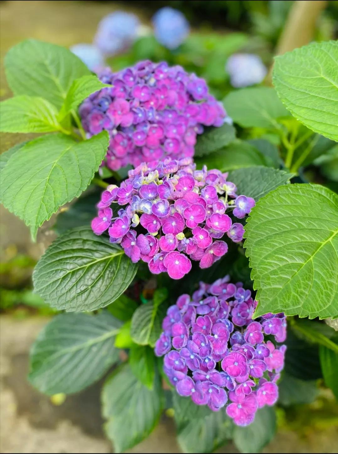 过度情绪劳动致抑郁,如果让抑郁症患者做高强度体力劳动，会不会治疗好或者减轻抑郁症？