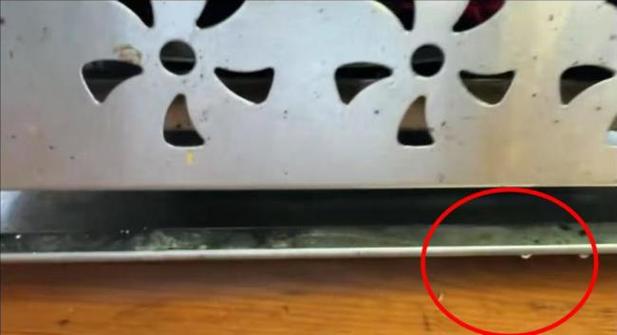 顾客发现桌上有蛆,桌子上有蛆我们应该怎么处理?