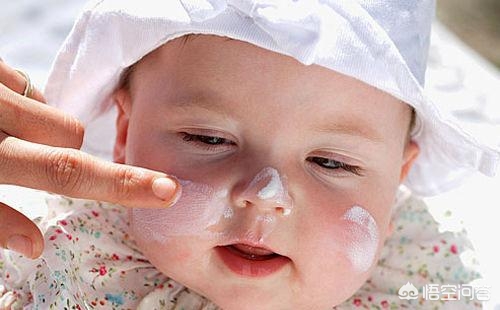 广东1周集中灭蚊,那出产黄杨木，有卖树苗的吗？