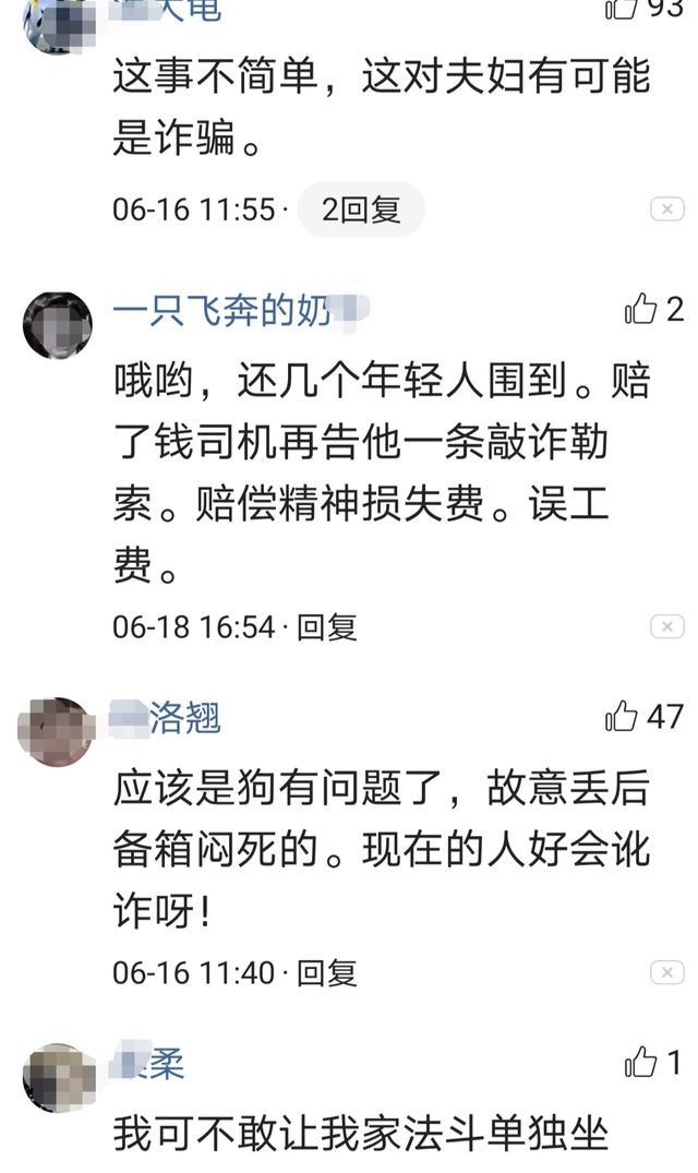 小狗被关后备箱闷死,宠物放在车后备箱会被闷死吗?