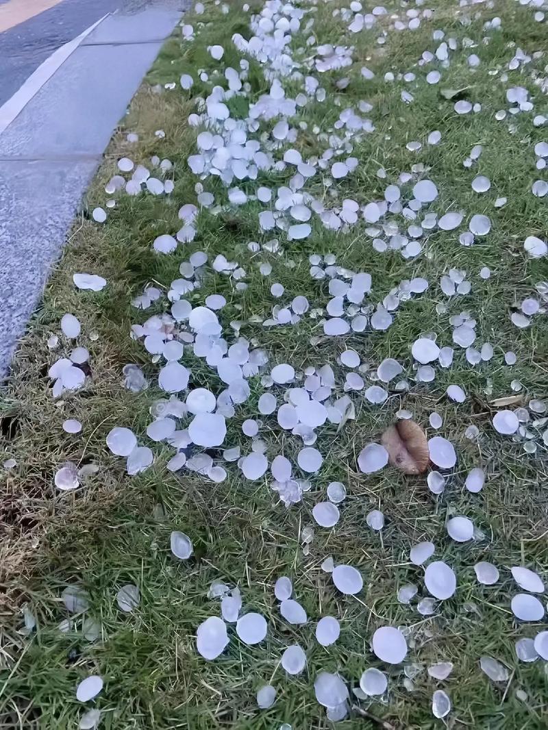 成都下冰雹,四川哪些地方有冰雹?