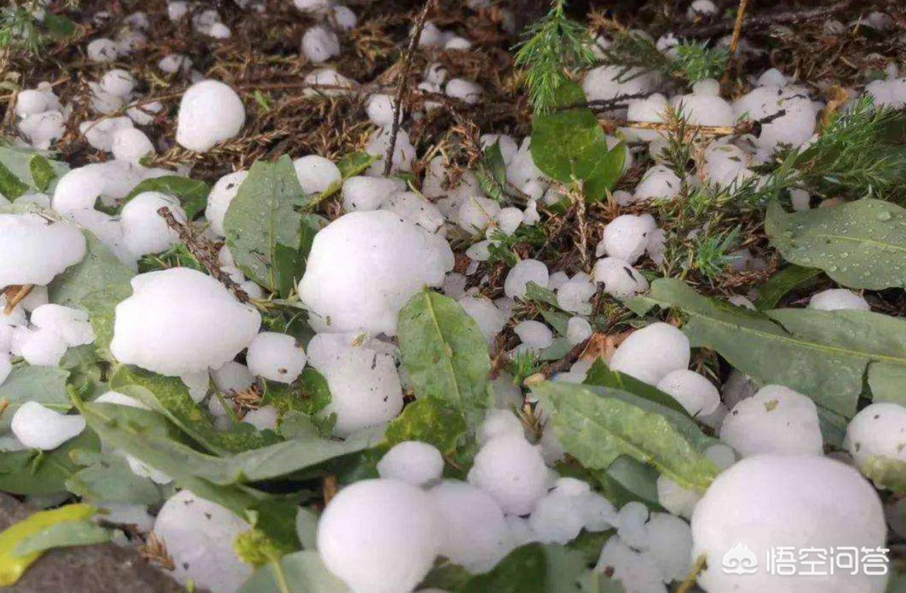 成都下冰雹,今天成都下过冰雹吗？