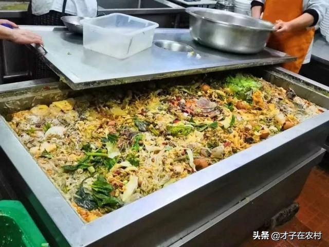 当学生面吃泔水剩饭,发酵泔水养猪，利润有多大？