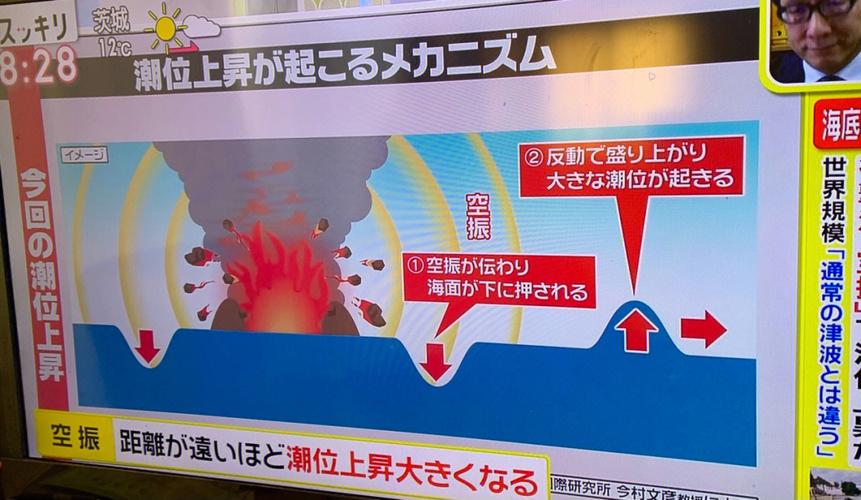 国内海啸警报解除,海啸红色预警对上海有影响嘛?