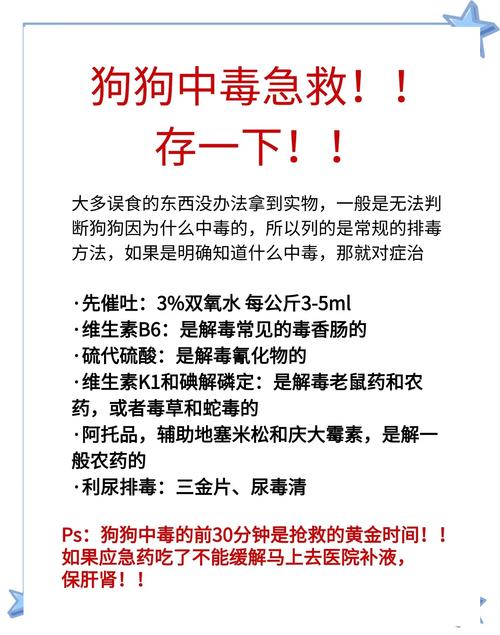 用狗试毒蘑菇仍中毒,用狗试毒蘑菇仍中毒怎么办