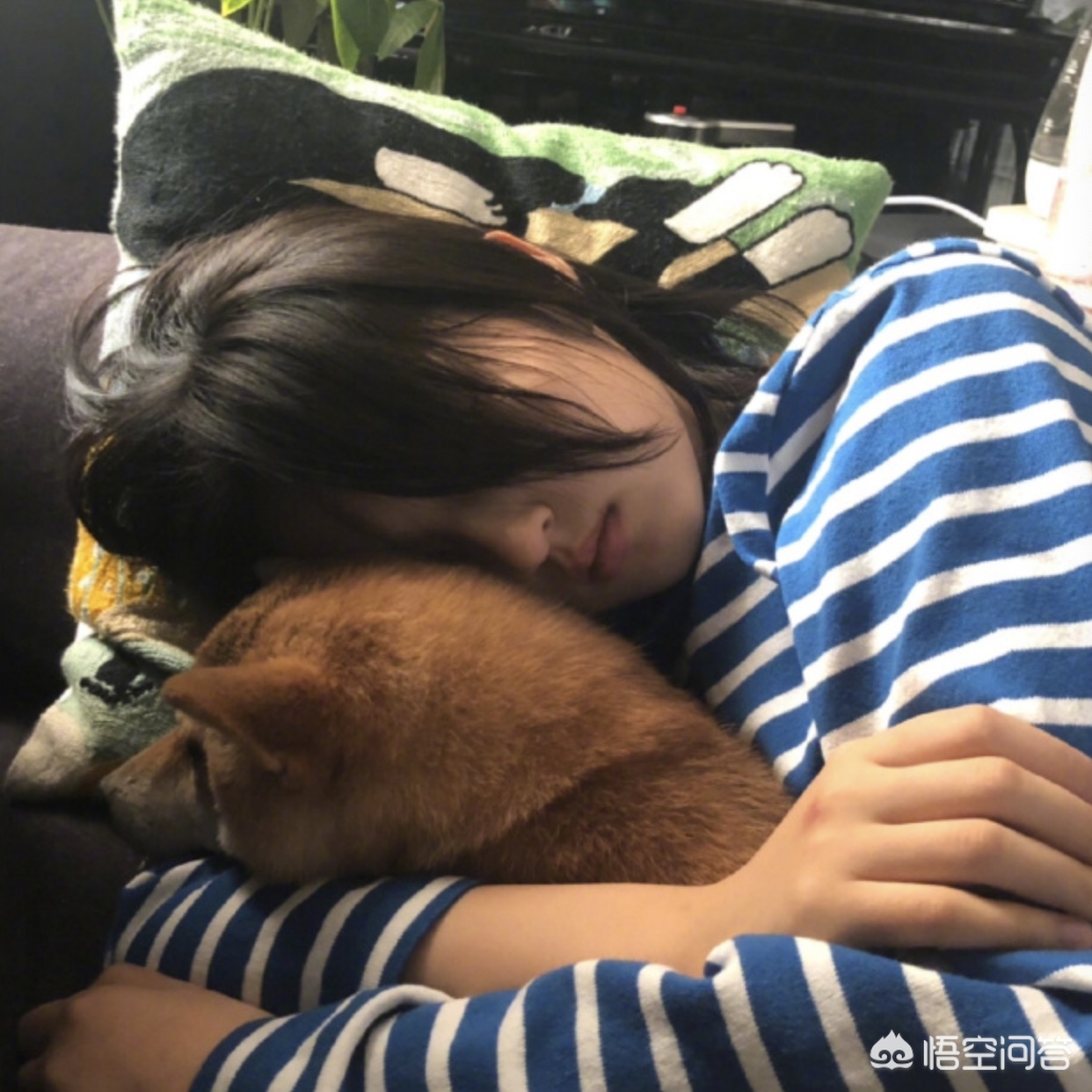 用狗试毒蘑菇仍中毒,用狗试毒蘑菇仍中毒怎么办 用狗试毒蘑菇仍中毒,用狗试毒蘑菇仍中毒怎么办