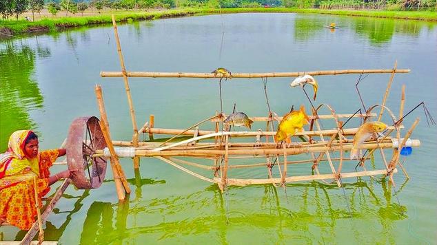 冒死用塑料瓶捕鱼吃,野外生存技能,如何用塑料瓶制作捕鱼器?