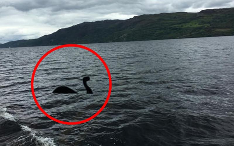 尼斯湖水怪再被拍到,尼斯湖水怪是否真实存在?