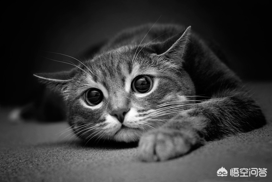 低能量年轻人自救,当你的心灵失去力量时，你怎么自救？