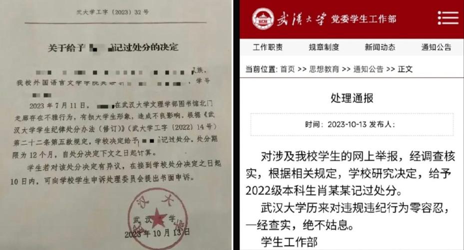 武大复核图书馆案,您好,我想问下,武汉大学的图书馆情报专业硕士?