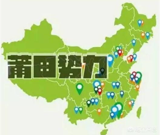 虚假医药广告整治,虚假医药广告整治方案