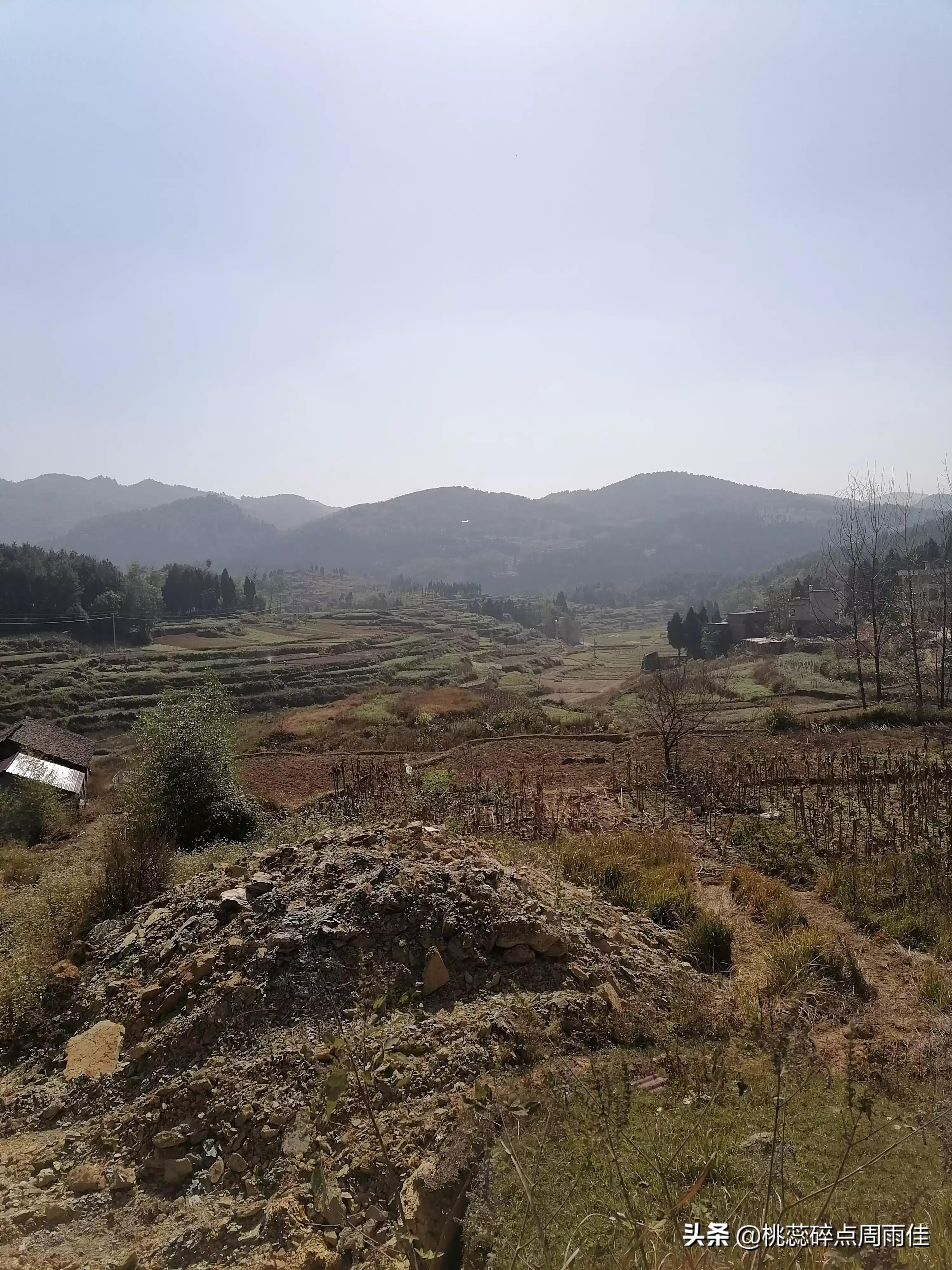 男子杀7个月大侄女,利刃出击叔叔杀侄女是哪一集？