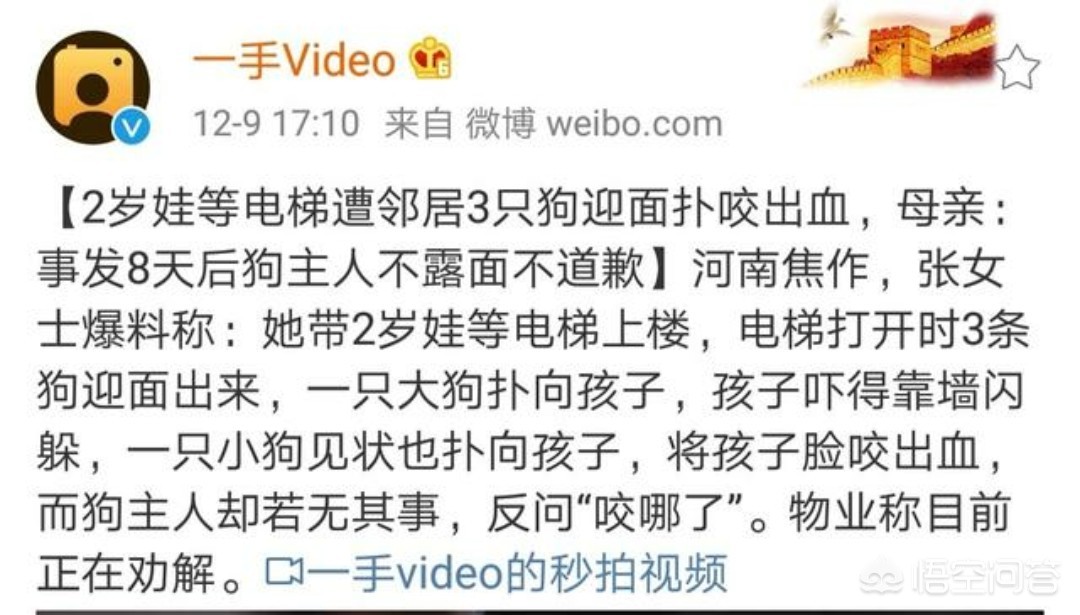 乘电梯被狗扑咬出血,2岁娃等电梯时遭邻居3只狗迎面扑咬出血，事发8天后狗主人不露面不道歉，你怎么看？