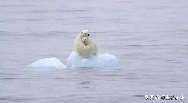 北极圈连续三周30℃,北极圈高温超过30 ℃，地球和人类会怎样？