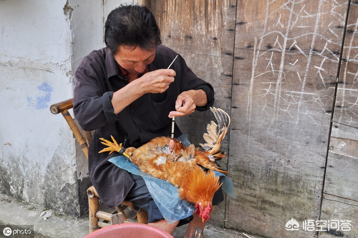 离婚被判吃掉鸡再离,离婚被判吃掉鸡再离婚怎么判