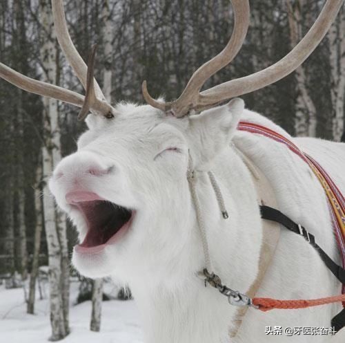 口臭查出胃癌前病变,口臭，去检查幽门螺旋杆菌后显示是阴性，还有其他原因造成的嘛？