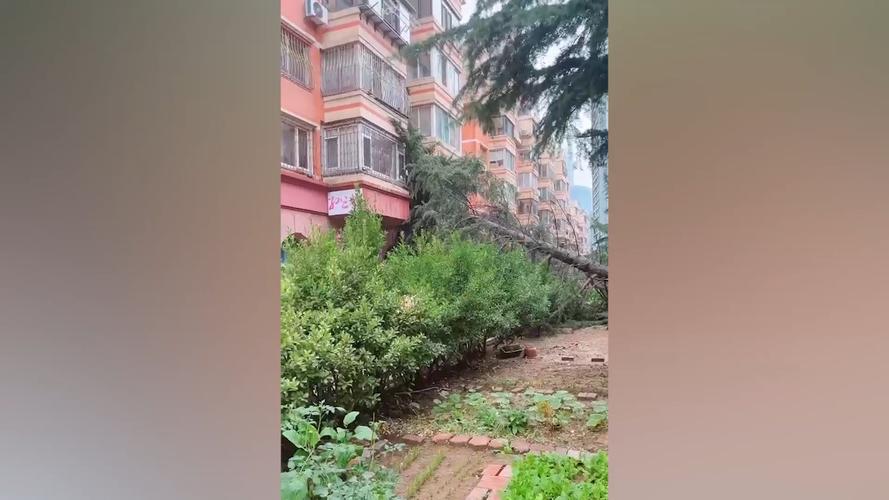 河北沧州出现巨响,沧州市上午轰隆一声怎么回事?