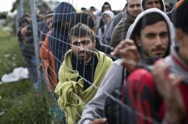 印度人正在涌入美国,如何看待大批来自印度的难民要涌入美国？