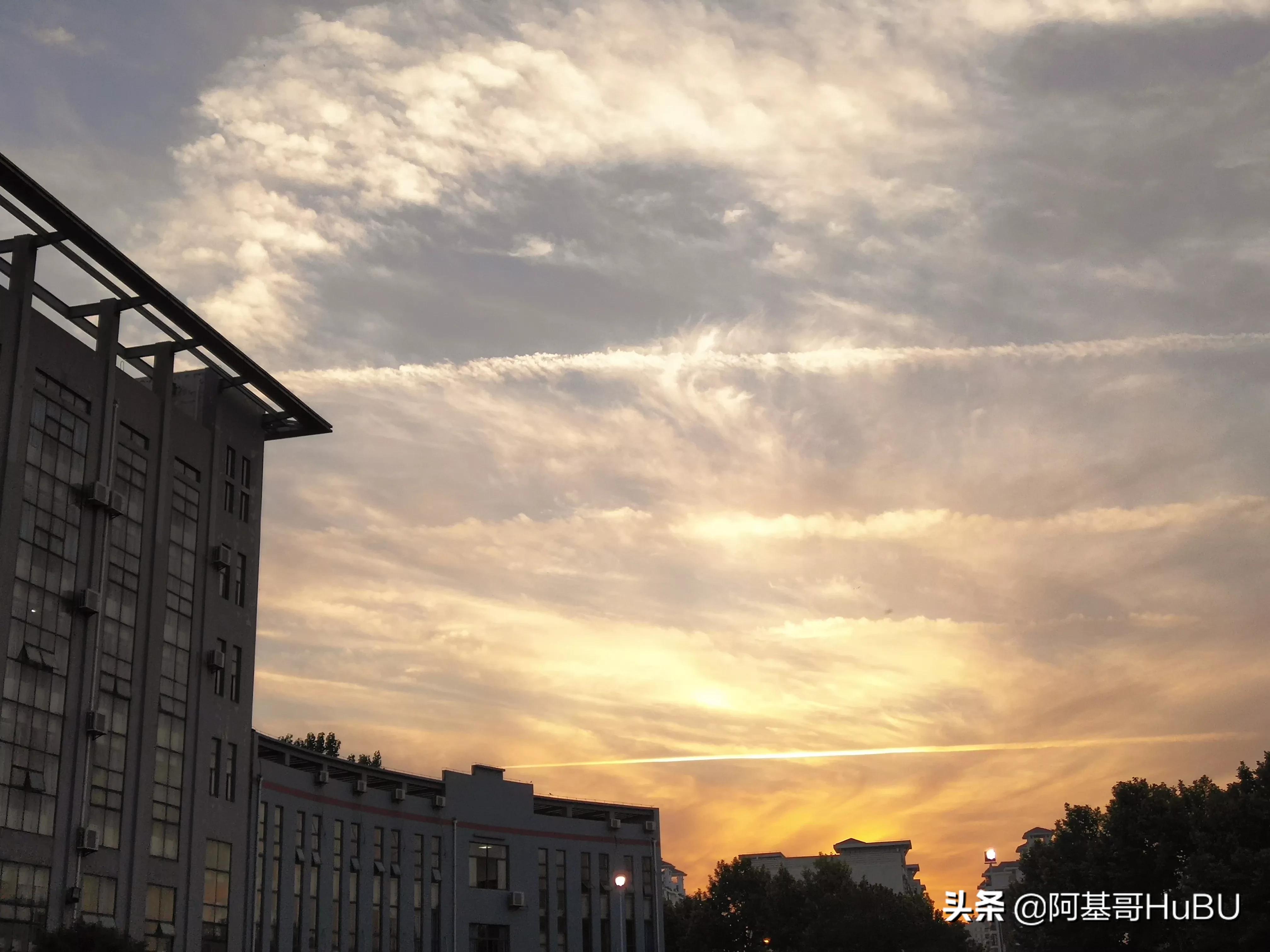 家长不在家娃被抽血,学校私自给孩子抽血合法吗？