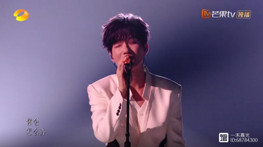 陈楚生歌手夺冠,陈楚生歌手夺冠宠妻