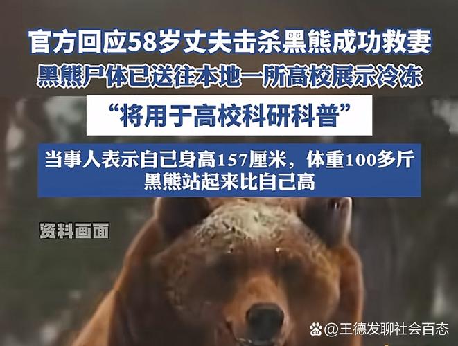 村民遭黑熊袭击昏迷,在西藏呆久了,时常晕倒是怎么回事?