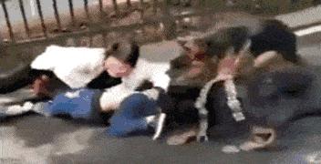 未牵绳大狗扑1岁娃,狗没牵绳被撞法律解释? 未牵绳大狗扑1岁娃,狗没牵绳被撞法律解释?