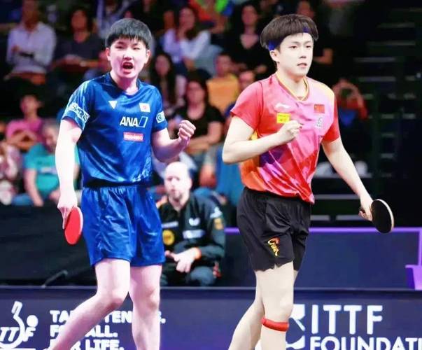 王楚钦不敌张本智和,王楚钦和张本智和