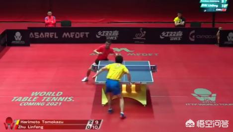 张本智和脱衣庆祝,张本智和一家捐款了吗？